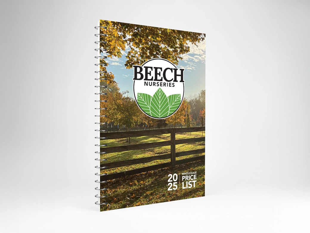 undefined - Catalogue design, page layout and production