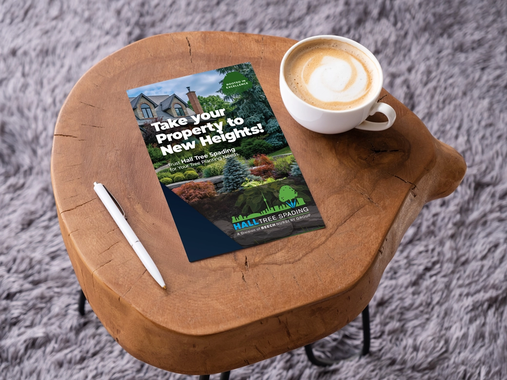 undefined - Brochure - design and production